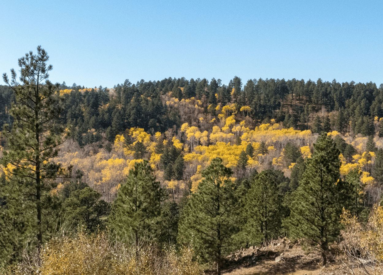 Old Baldy Trail Hill Side