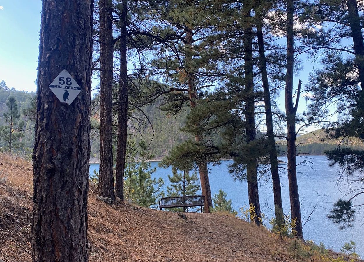 Osprey Trail Trail Marker On Tree
