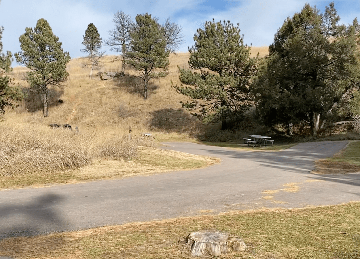 Prairie Vista Tree Path