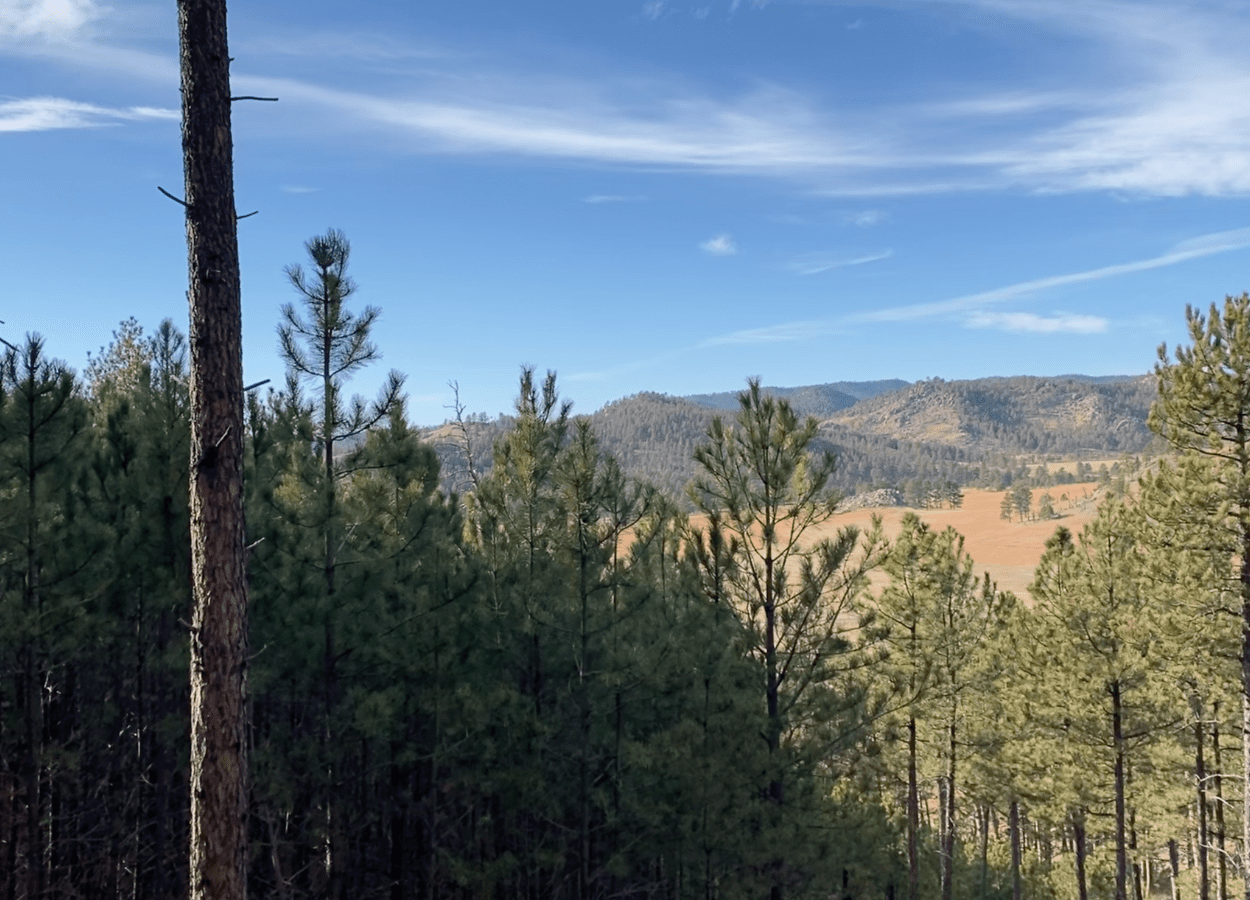 Rankin Ridge Shade Hill View