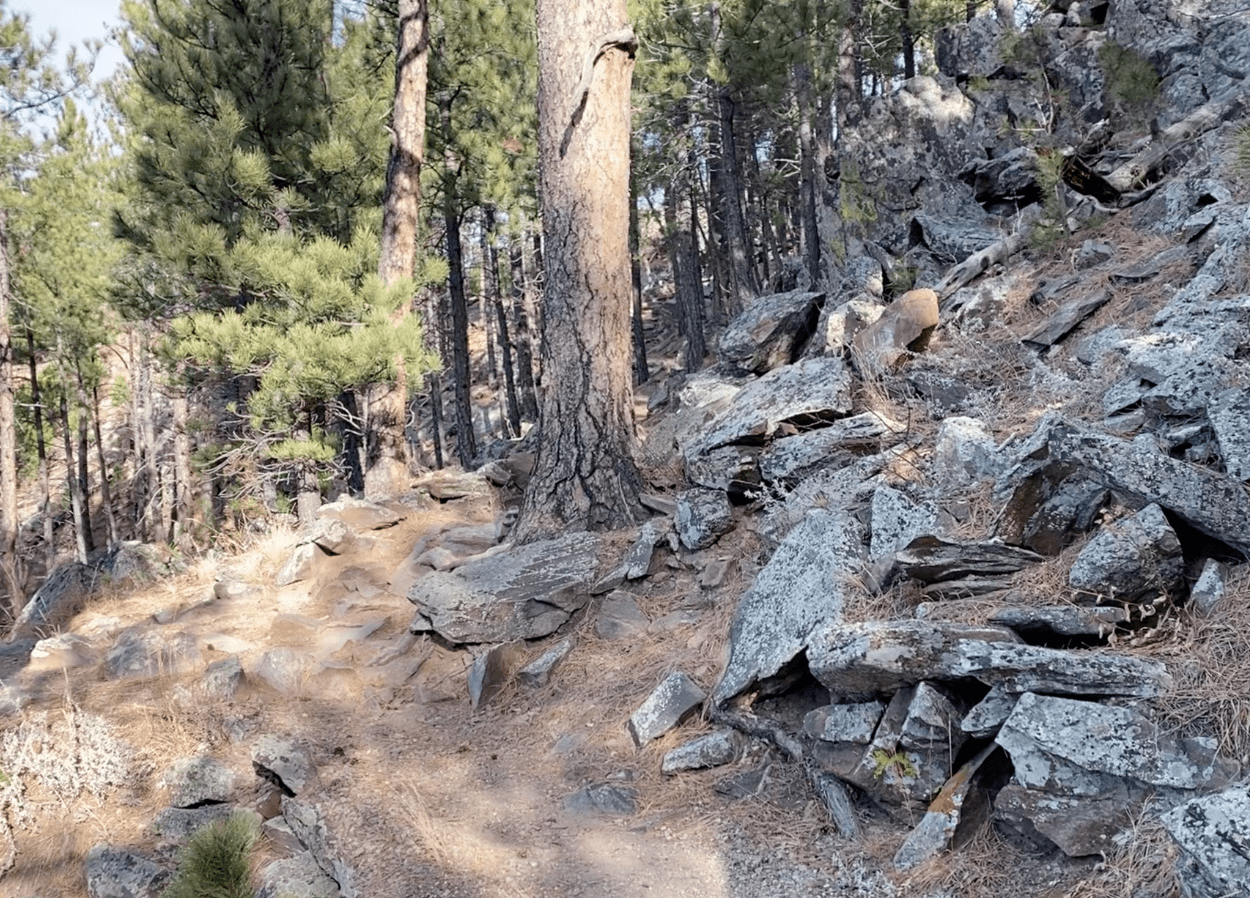 Rankin Ridge Rocky Hill