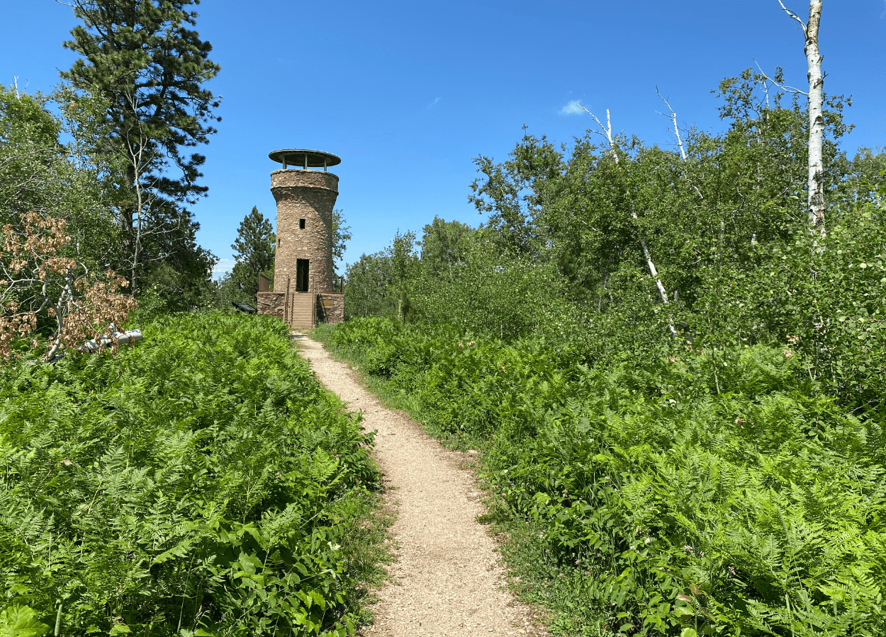 Roosevelt Tower Tower Photo