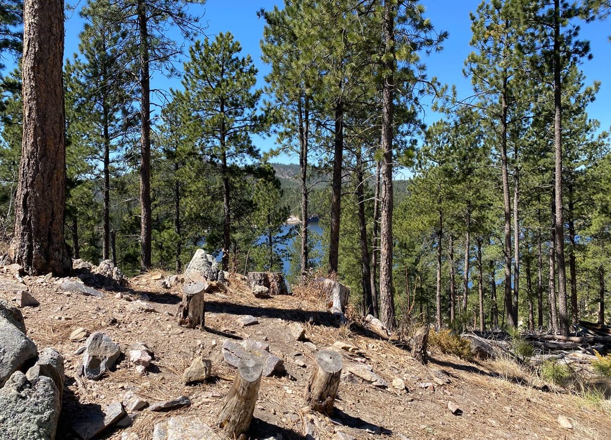 Stockade Lake Higher Trail View