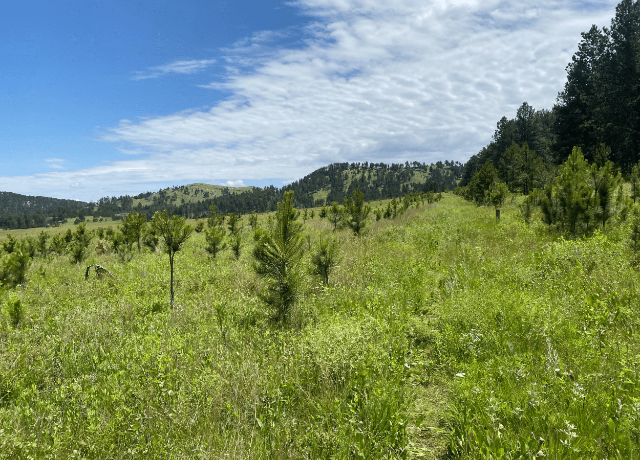 Sanctuary Trail Featured Trail