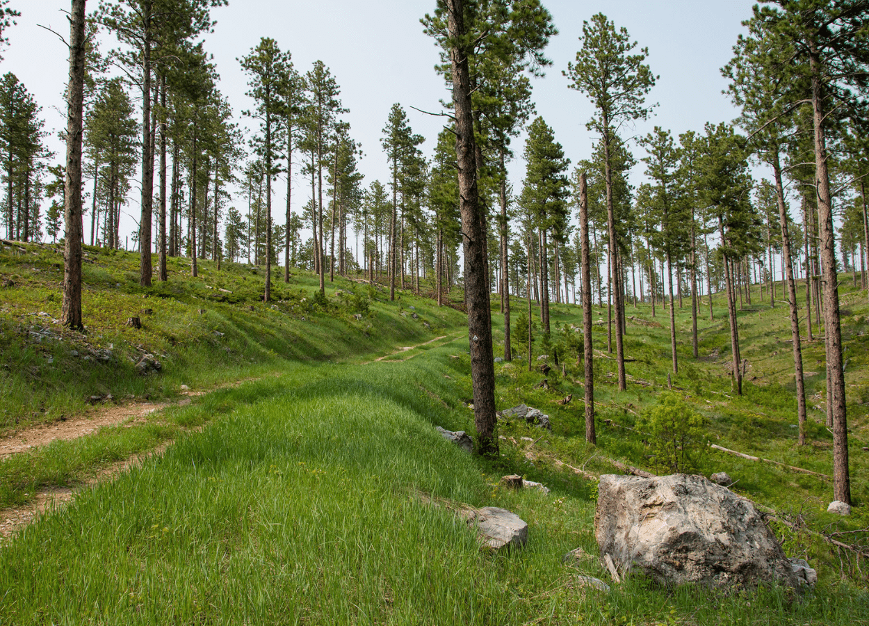 Sturgis Trail System Green Path