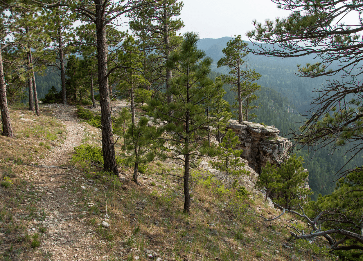 Sturgis Trail System Cliff