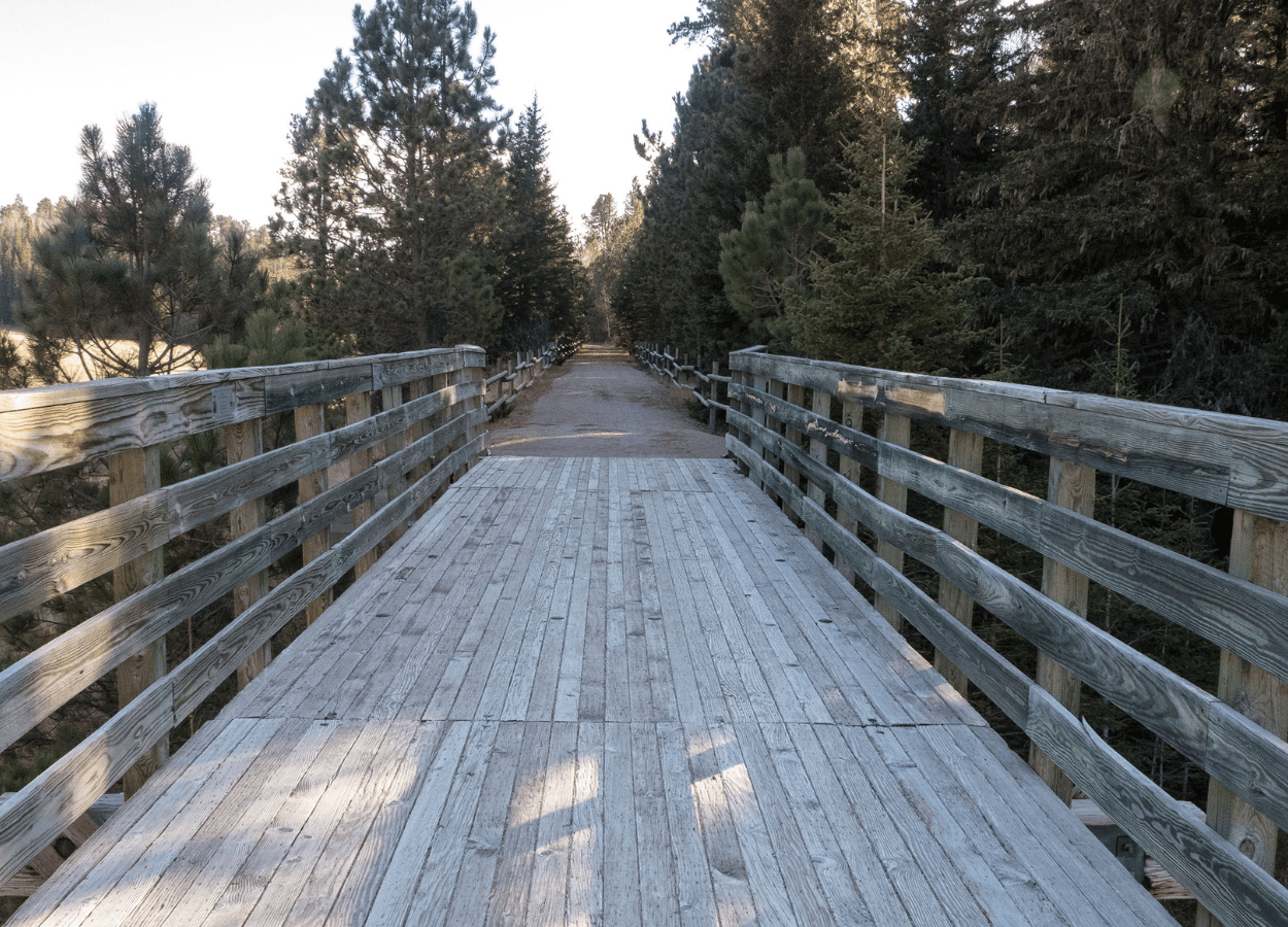 Mickelson Bridge Shaded