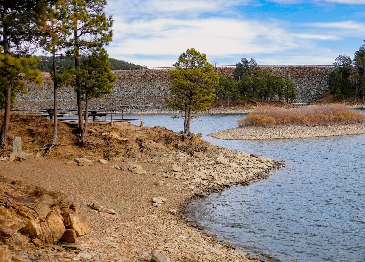 Veterans Point Tree By Lake