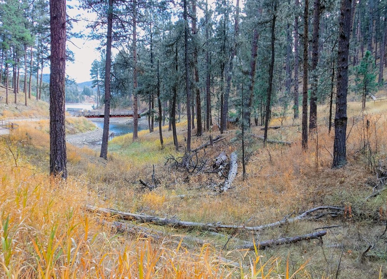 Veterans Point Bridge