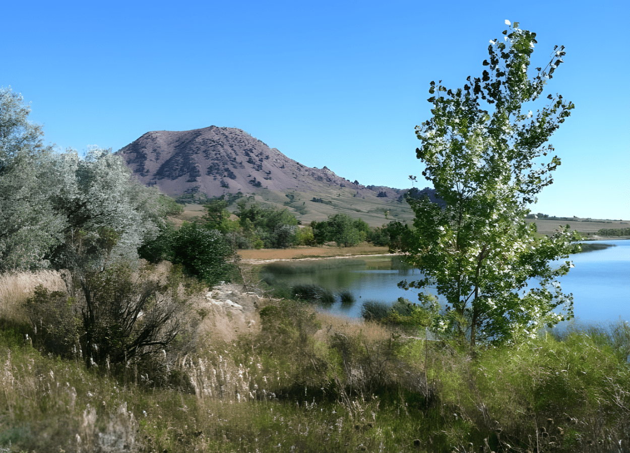 View of Bear Butte