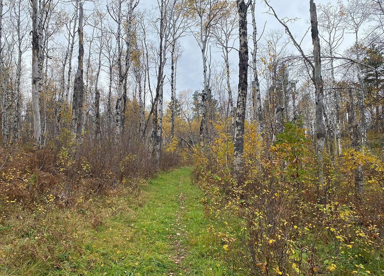 big hill fall colors