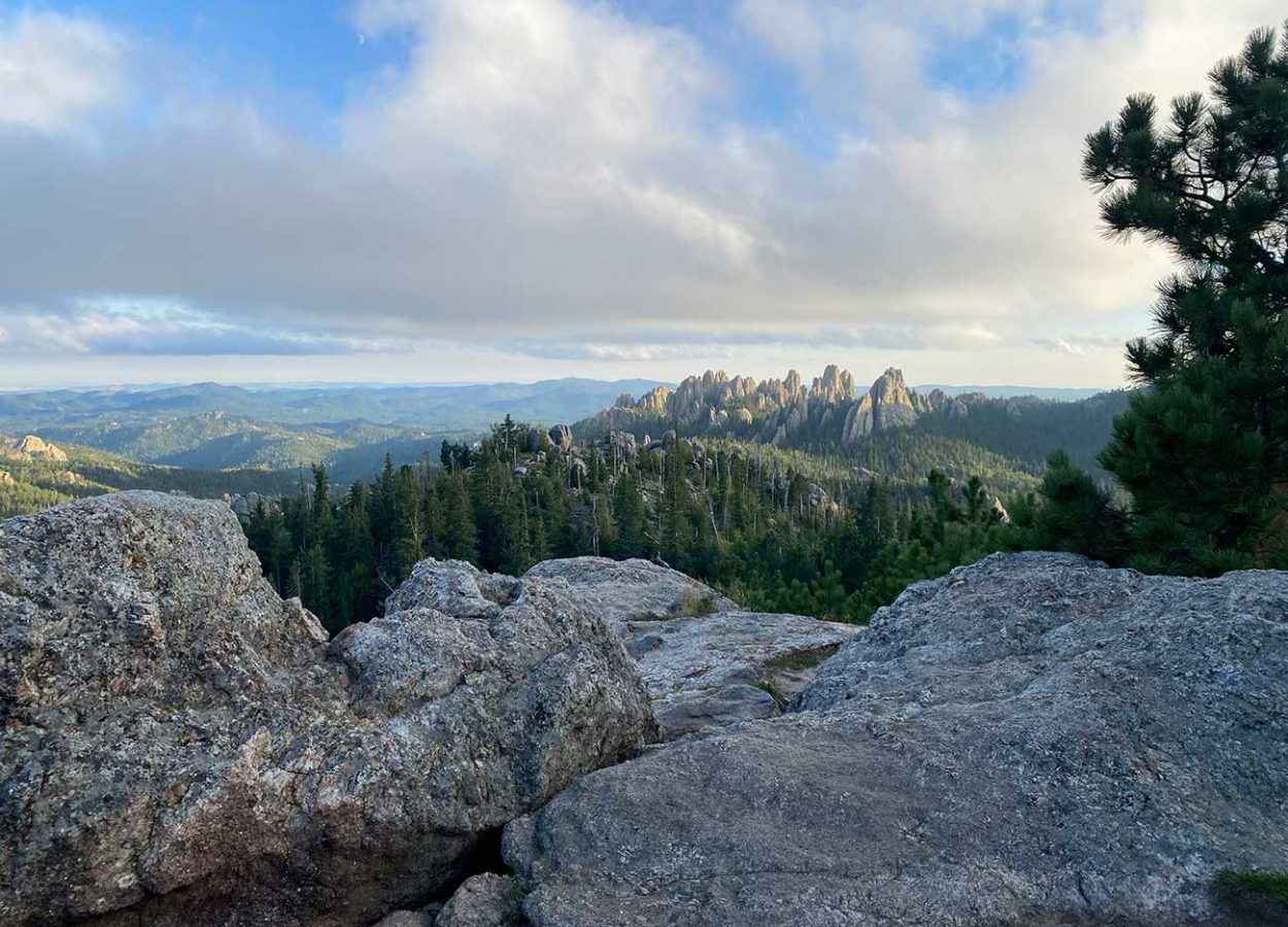 view from black elk peak