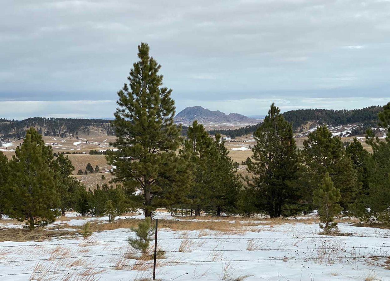 view of bear butte from centennial trail