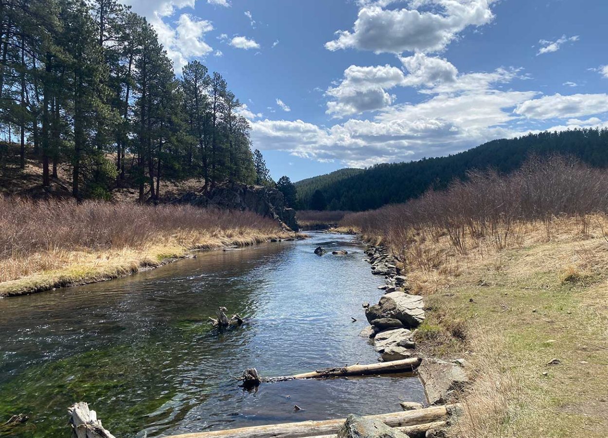 creek on centennial trail