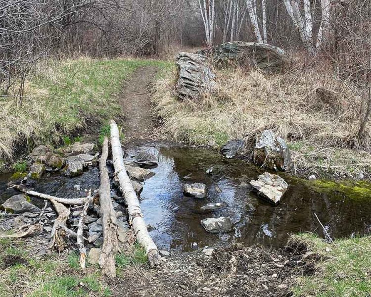 Centennial Trail - Rapid Creek To Brush Creek