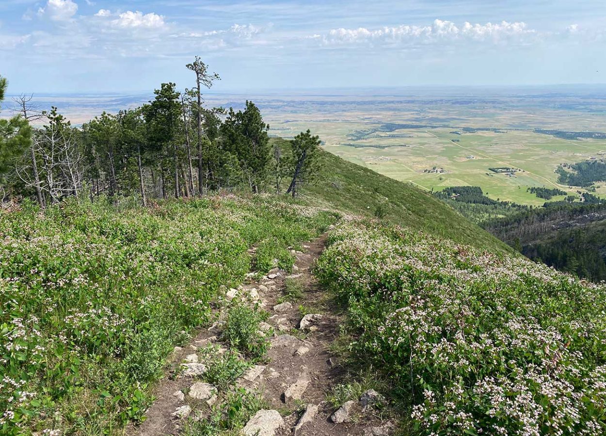 Crow Peak Trail near Spearfish, South Dakota