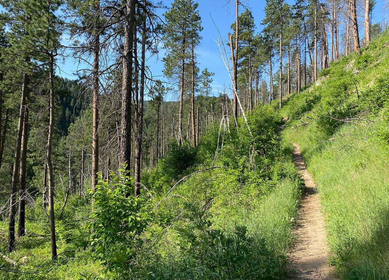 Crow Peak Trail near Spearfish, South Dakota