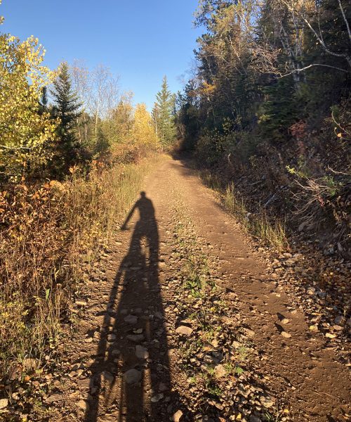 Shadow of Eric cycling on a black Hills trail in the fall