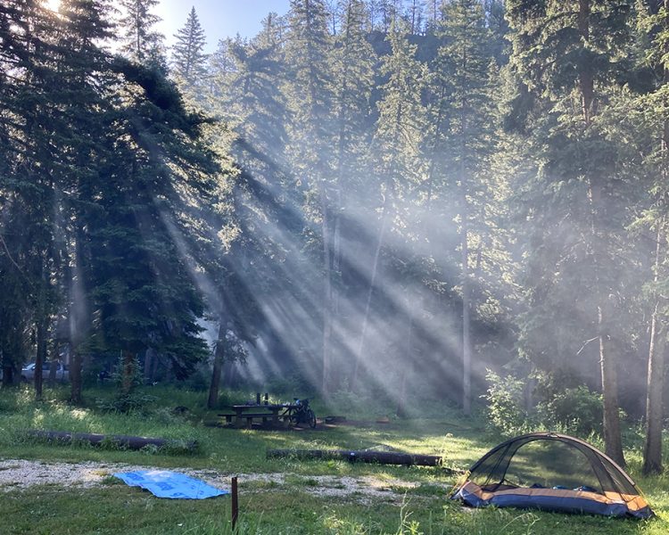 Camp site in the black hills with sun rays filtering through pine trees