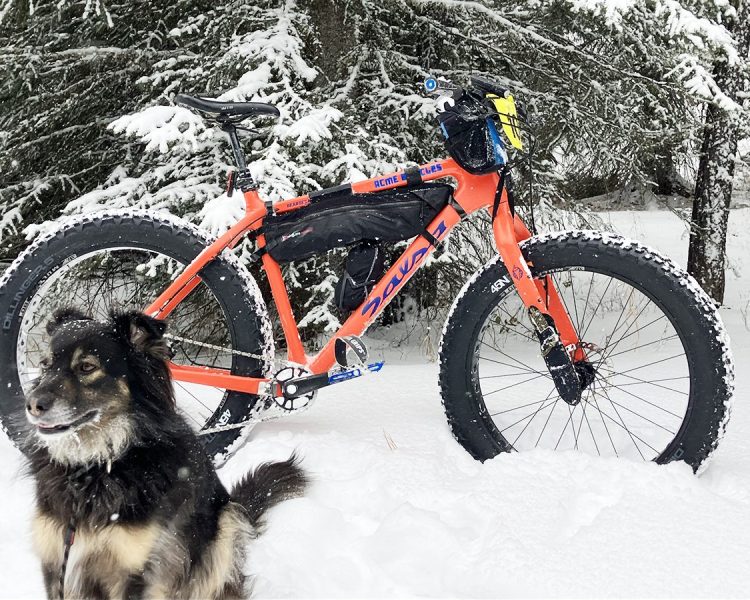 eric-dog-bike-trail