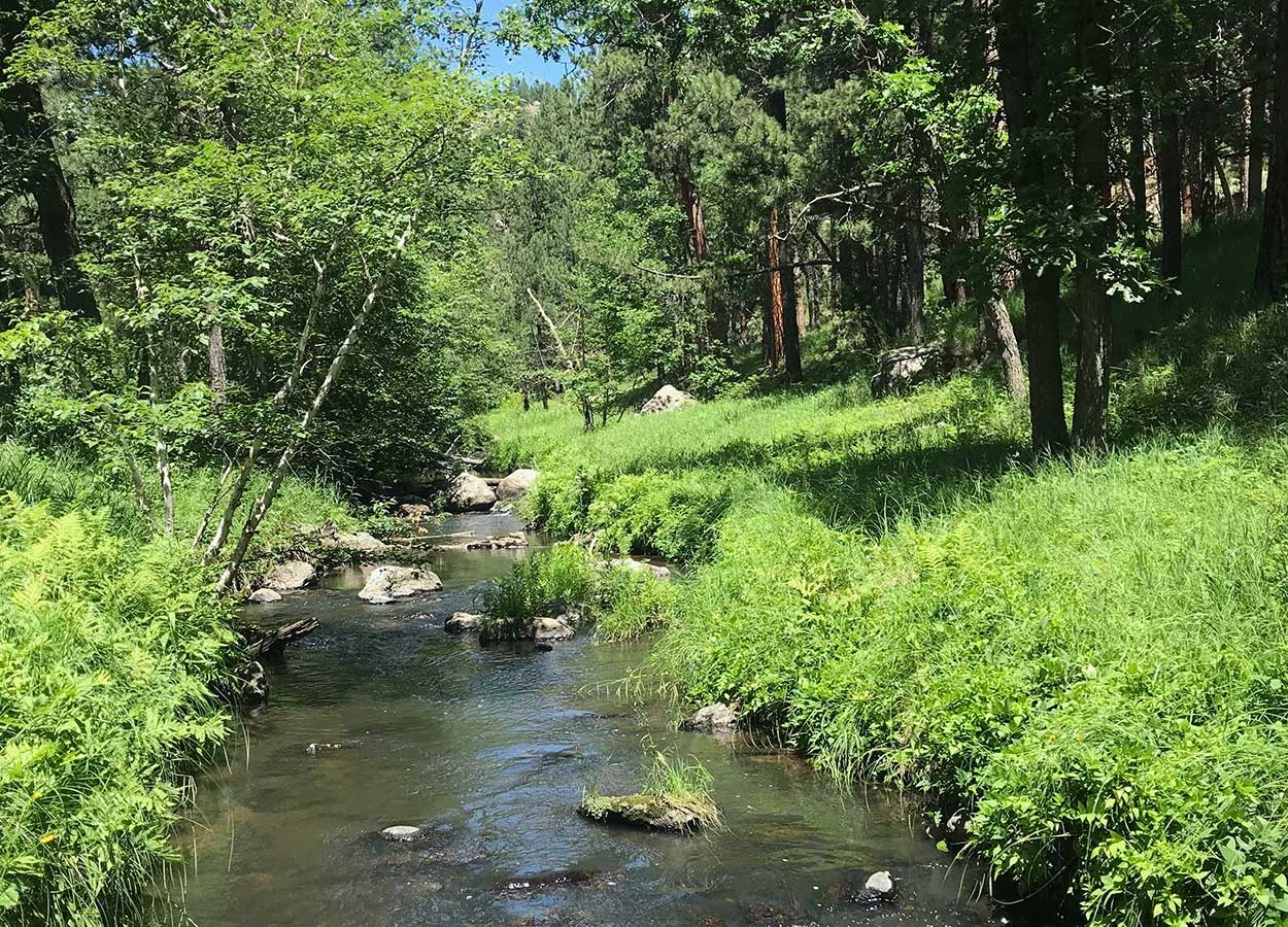 creek at grace cooidge trail