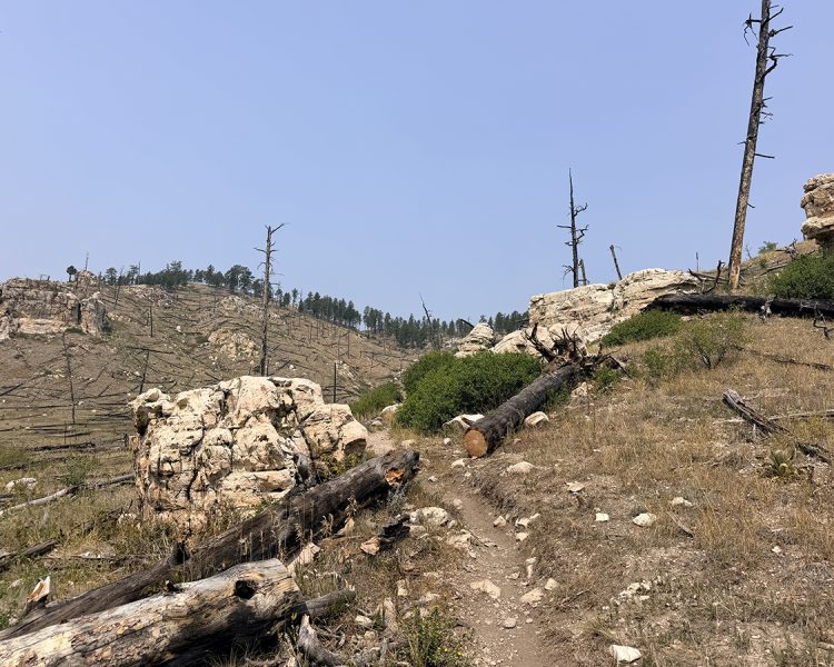 hell-canyon-trail-log-and-rocks
