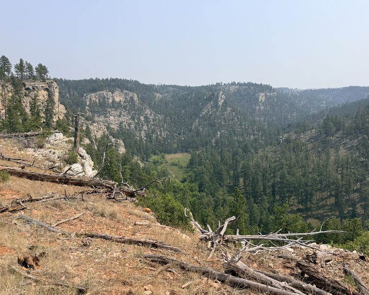 View of Black Hills from Hell Canyon trail