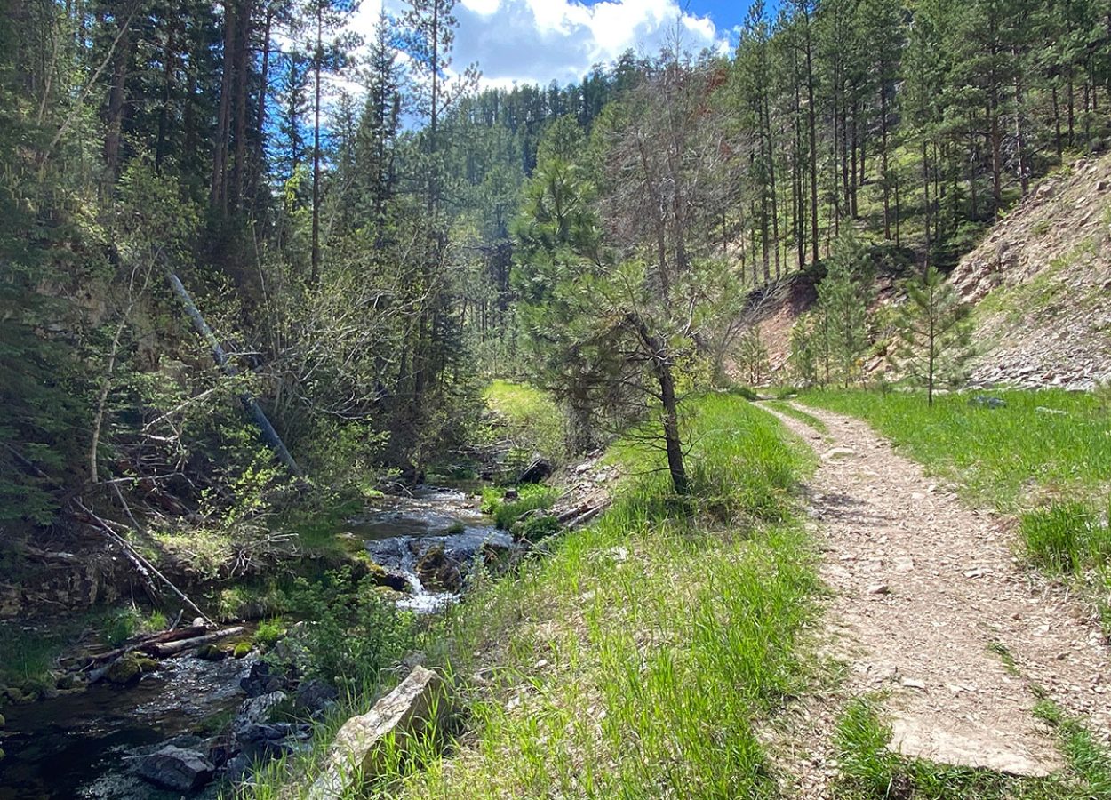 iron creek trail in spearfish canyon