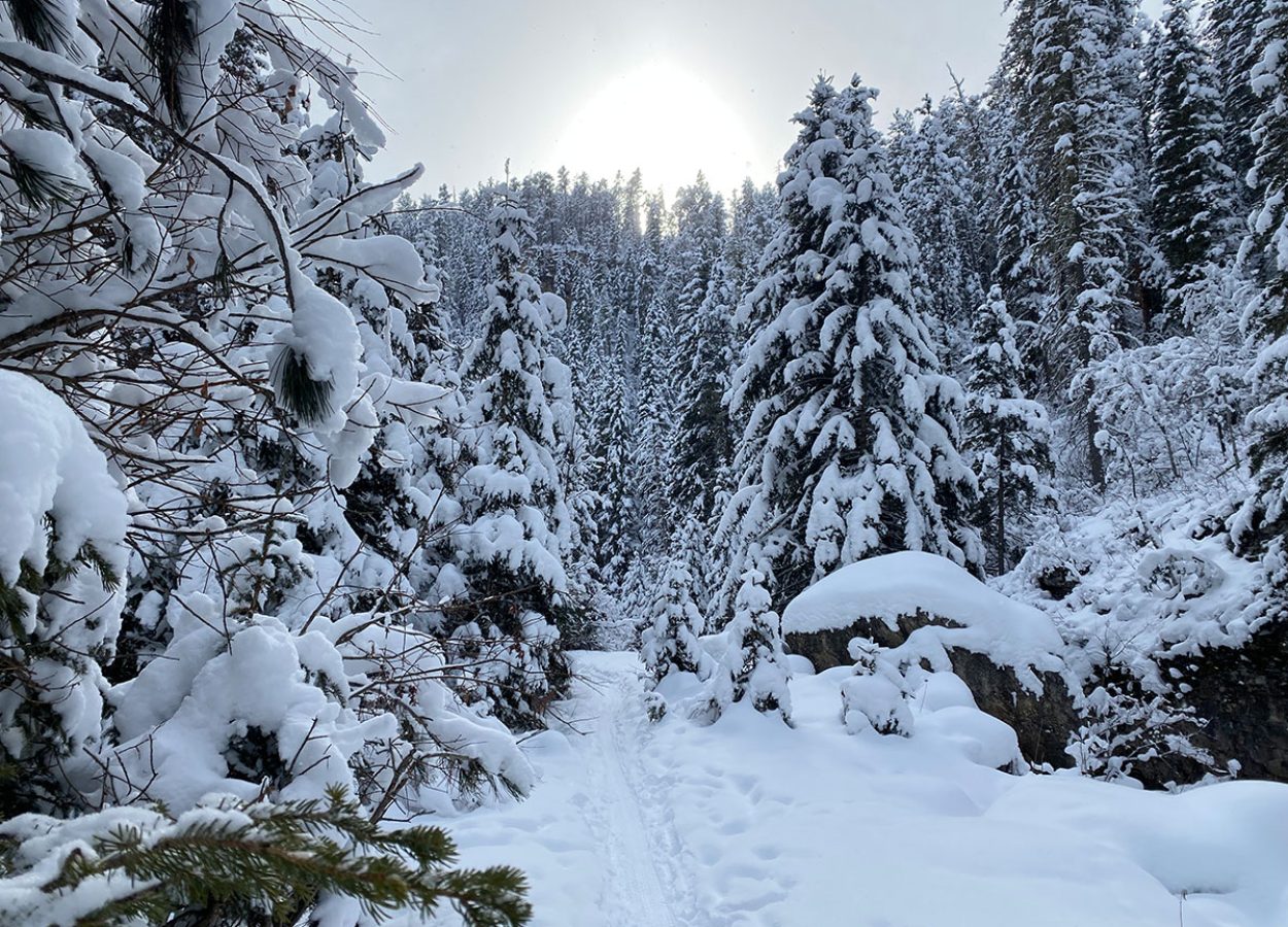 snow at iron creek trail spearfish canyon