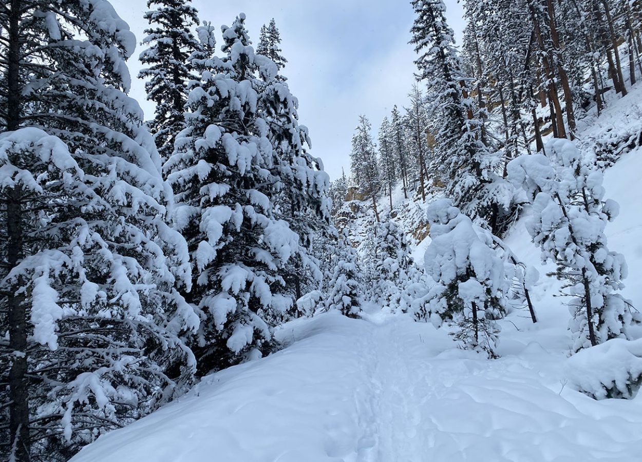 winter fat biking at iron creek trail spearfish canyon
