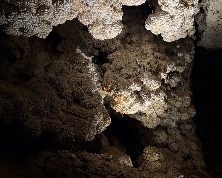 Mineral formations on ceiling of Jewel Cave
