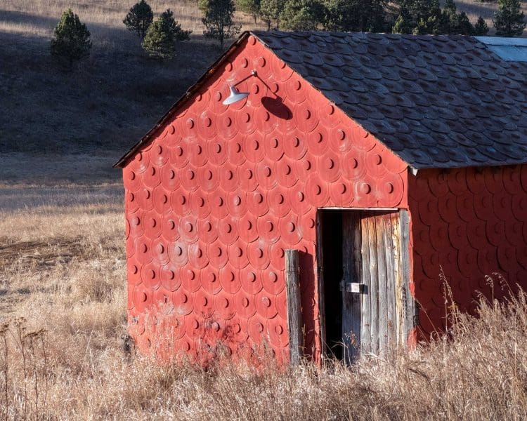Mickelson Trail - From Dumont Trailhead