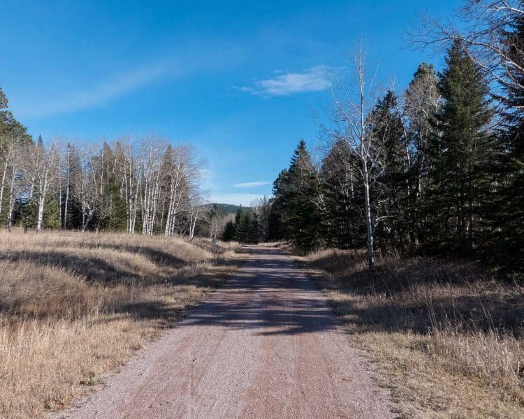 Mickelson Trail - From Dumont Trailhead