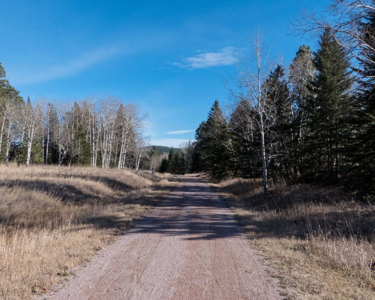 Mickelson Trail - From Dumont Trailhead