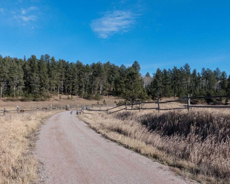 Mickelson Trail - From Dumont Trailhead