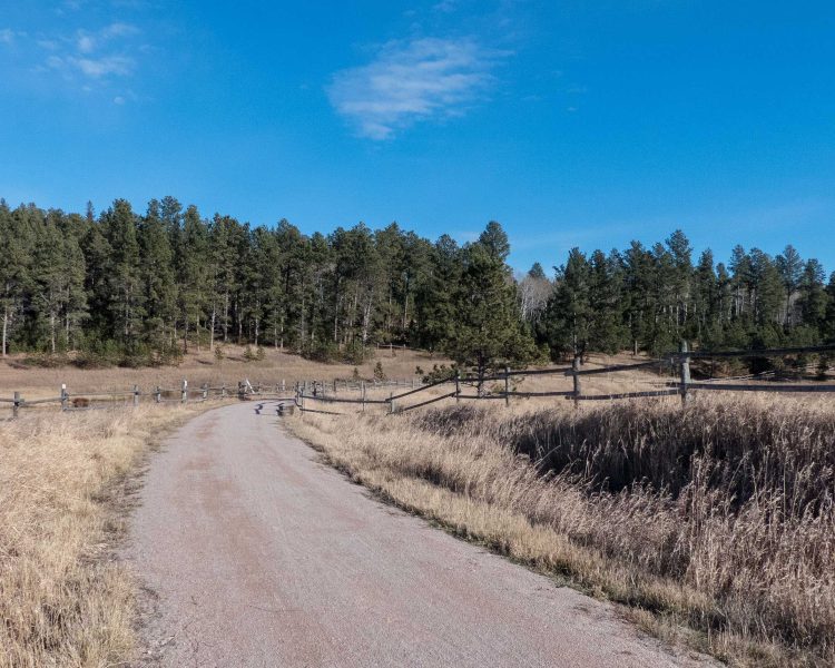 Mickelson Trail - From Dumont Trailhead