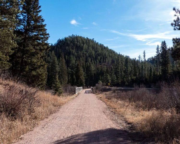 Mickelson Trail - From Mystic Trailhead