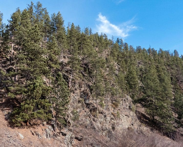 Mickelson Trail - From Mystic Trailhead