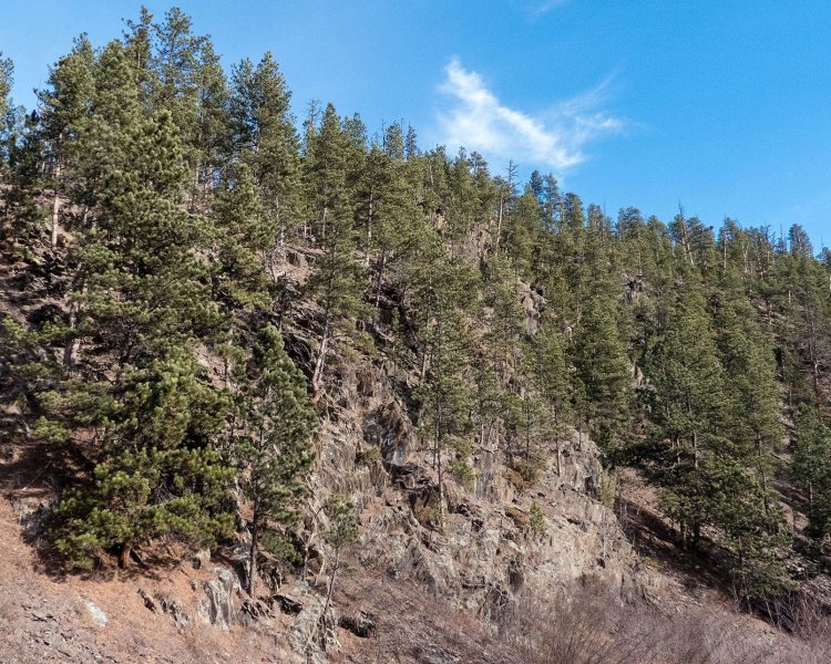 Mickelson Trail - From Mystic Trailhead