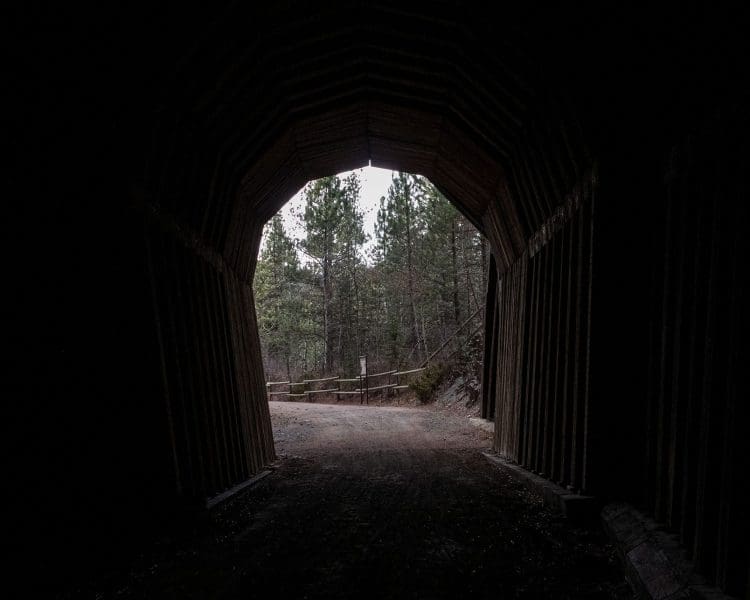 Mickelson Trail - From Mystic Trailhead