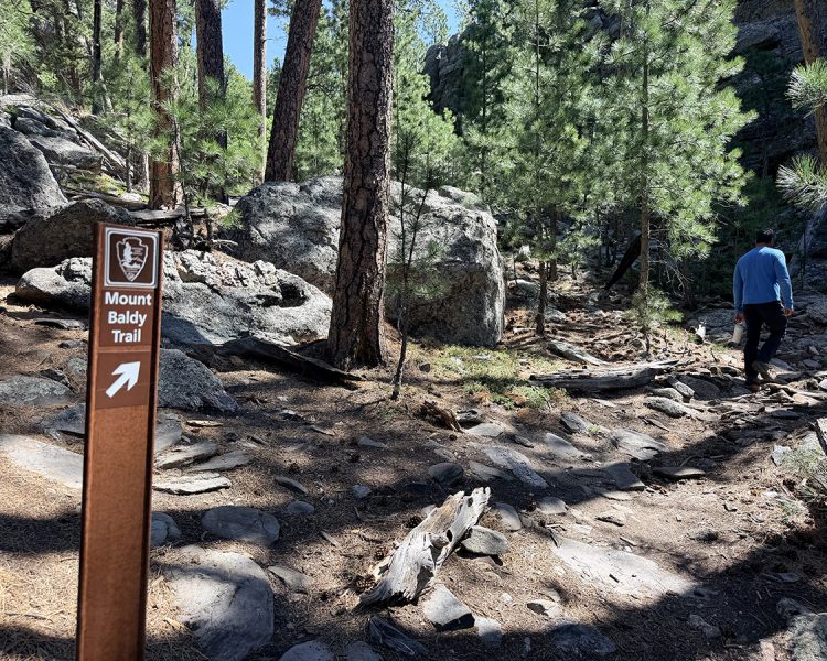 mount-baldy-trail-marker