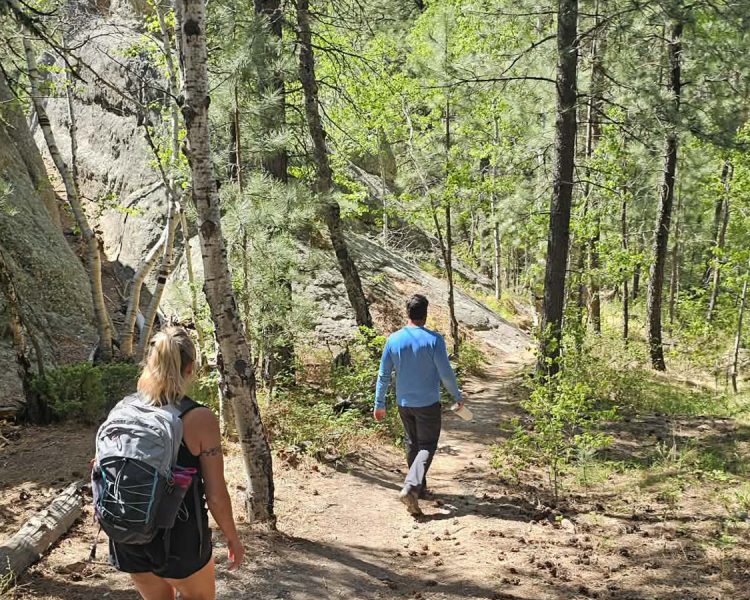 Walking path through trees on Mount Baldy Trail near Keystone, SD