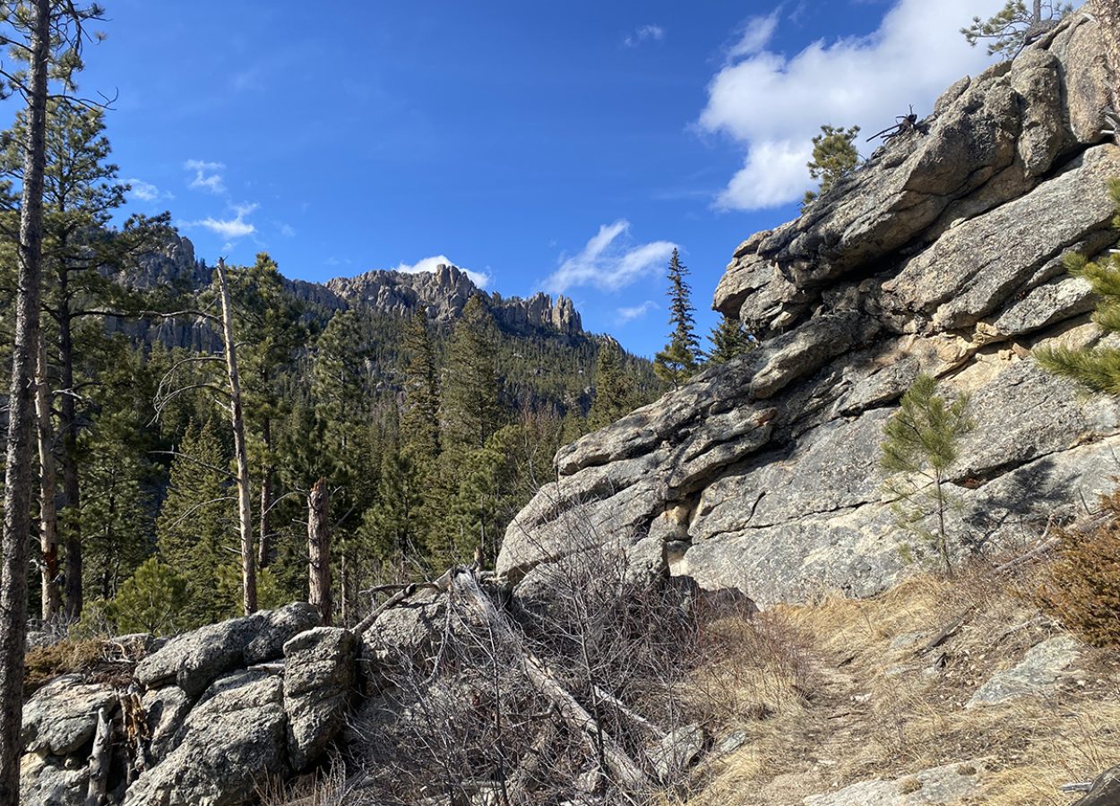 Norbeck Trail Black Hills rock formation