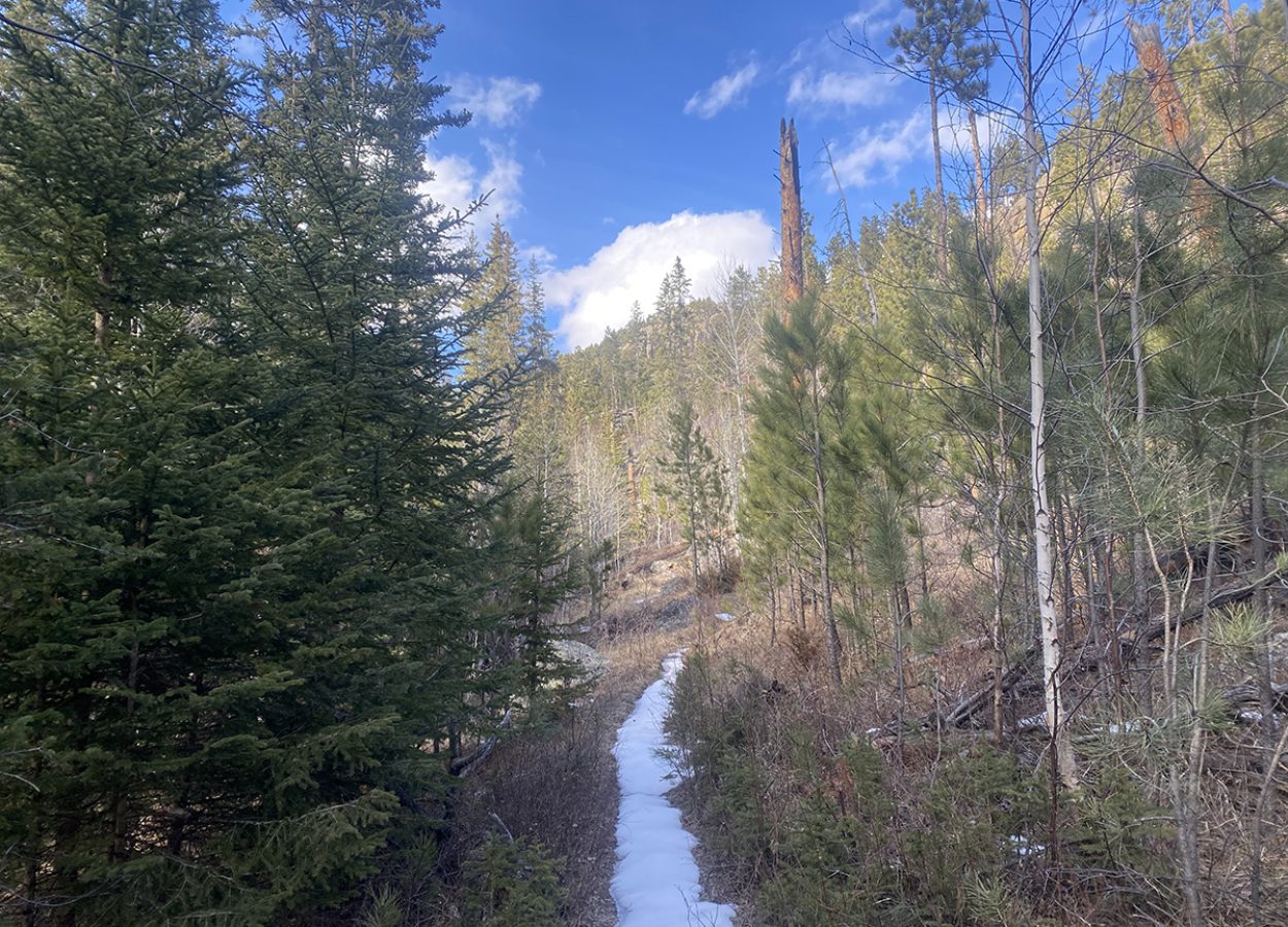norbeck-trail-black-hills-snowy-path