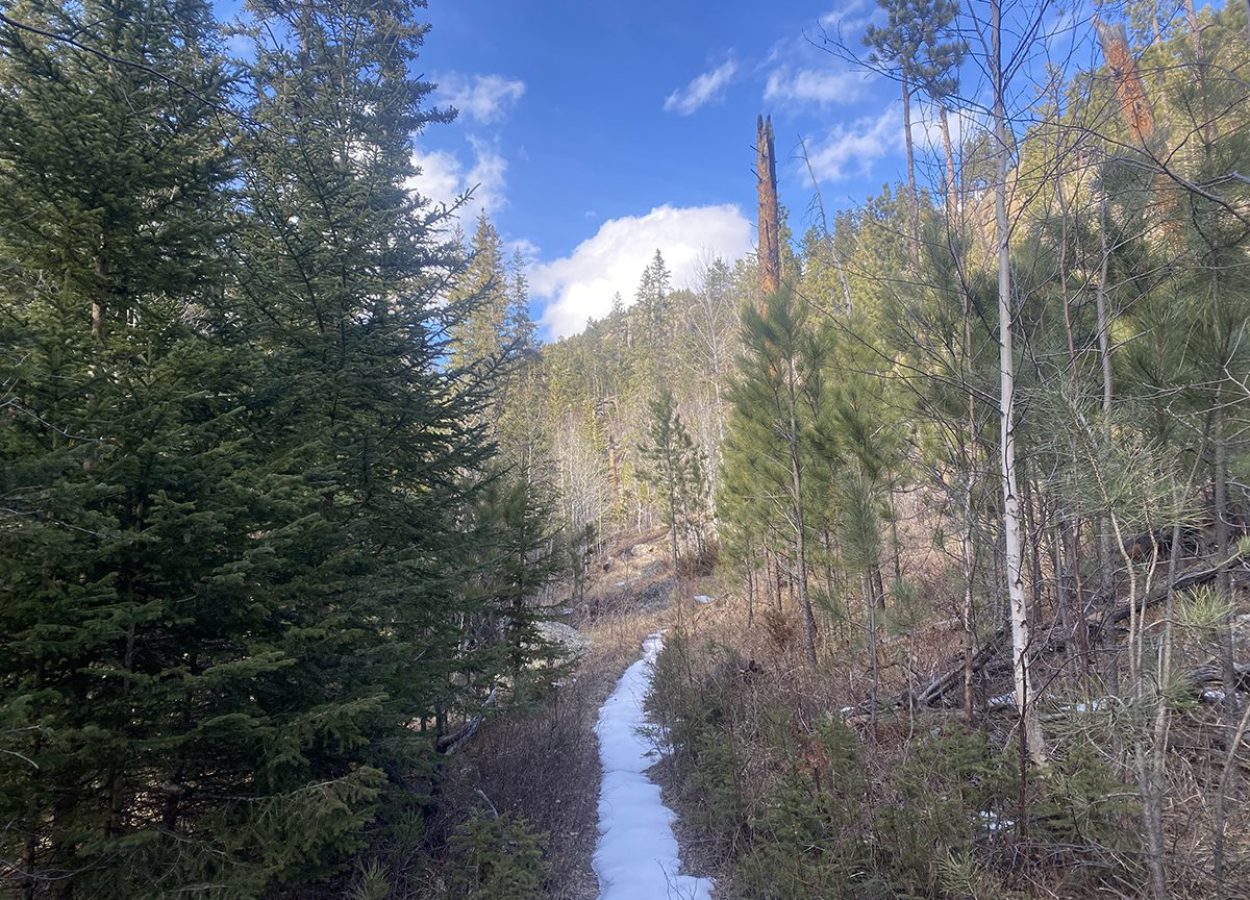 norbeck-trail-black-hills-snowy-path