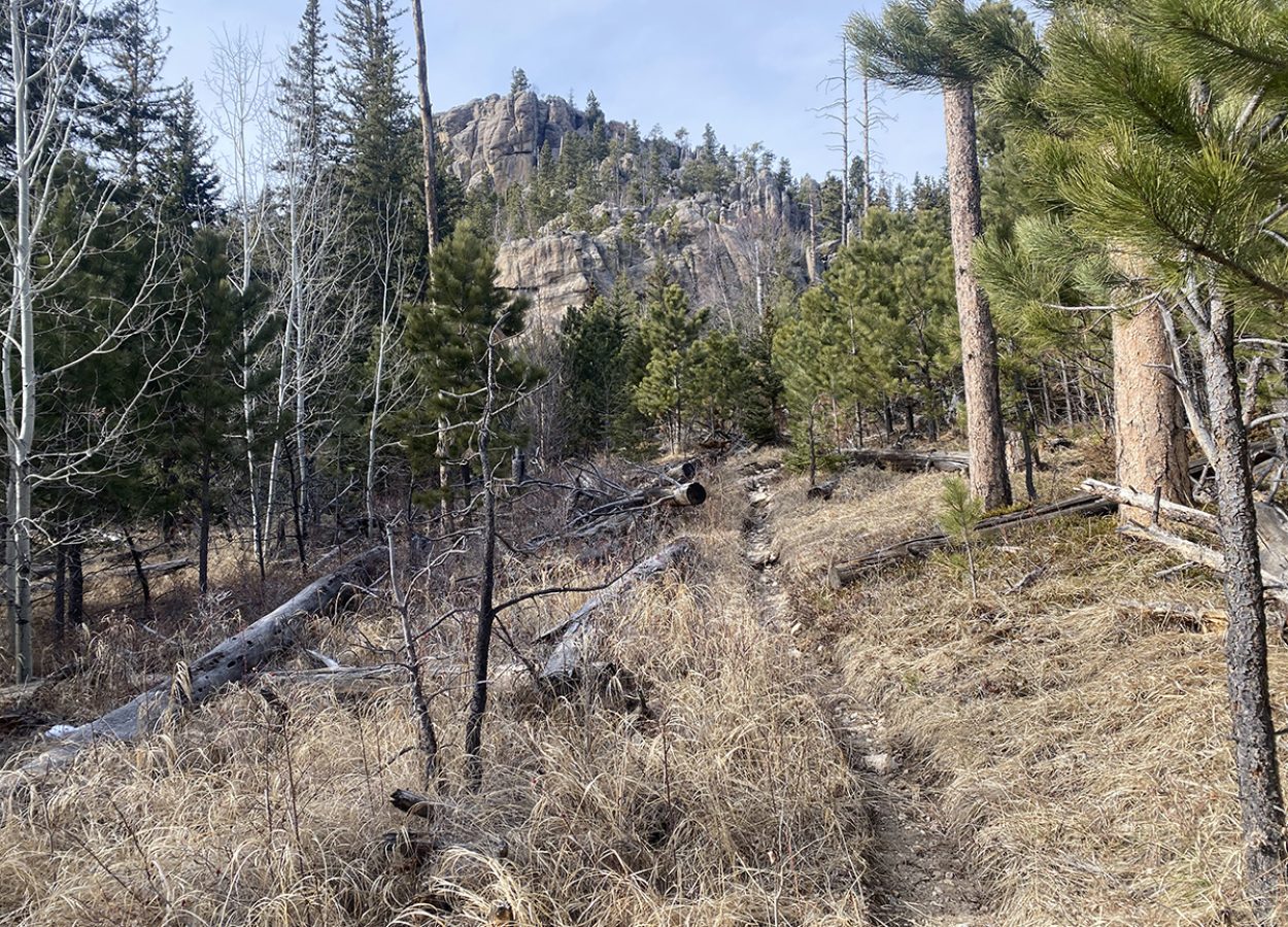 Norbeck Trail Black Hills view of granite spires