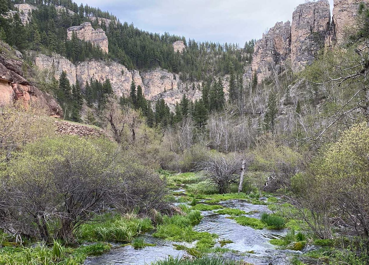 Roughlock Falls Trail in Spearfish Canyon, SD
