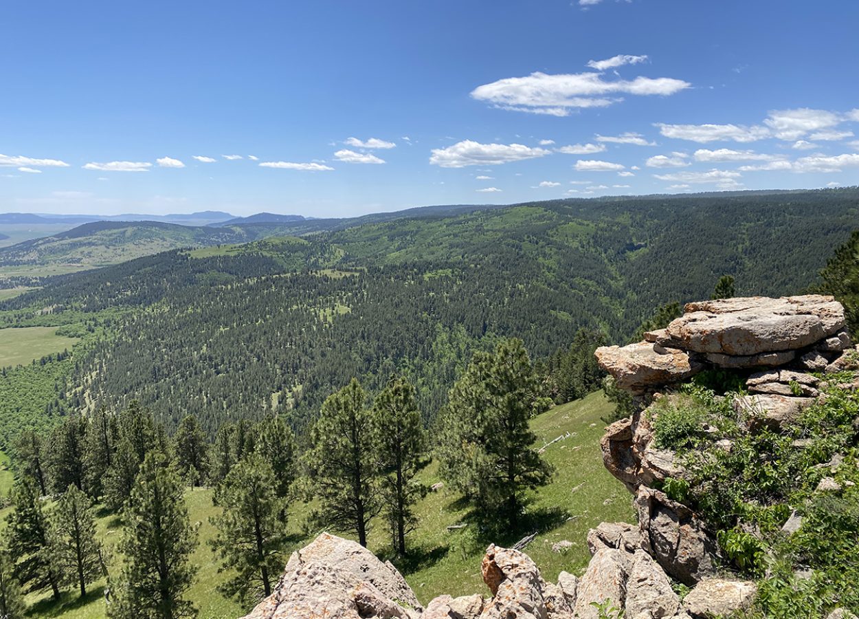 Sheep Nose Mountain Trail Sundance overlook of Black Hills forest