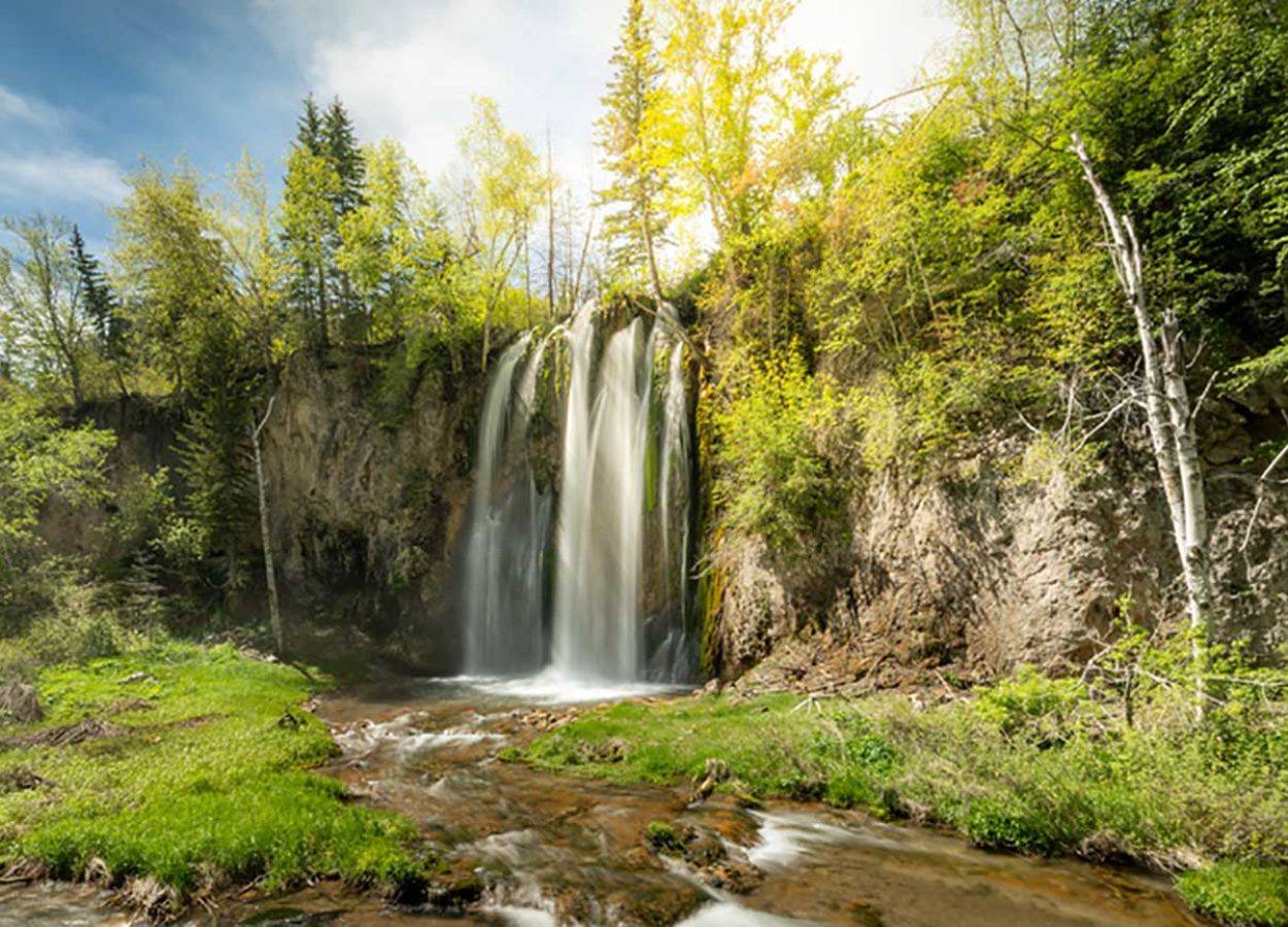 spearfish falls
