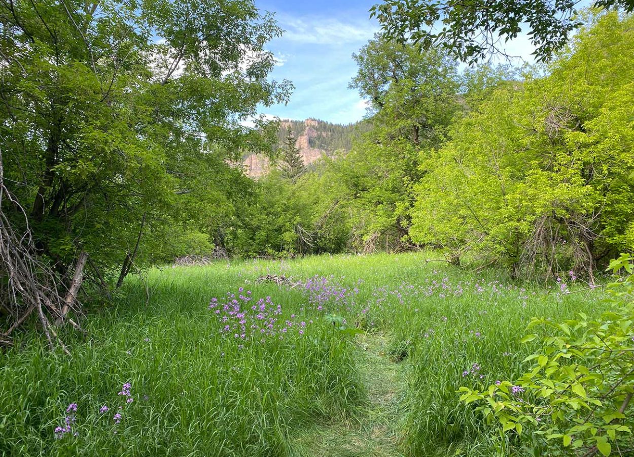 spearfish falls trail